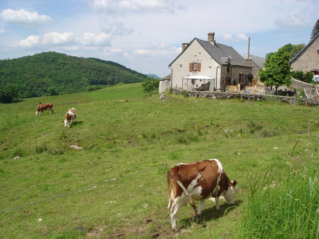 Willa Chez Marraine Sauvat Zewnętrze zdjęcie